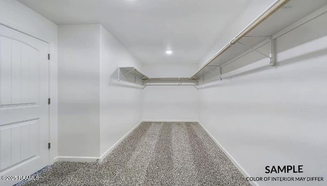 walk in closet with carpet floors