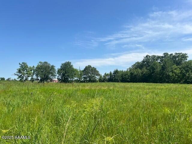 TBD Candle Glow Dr, New Iberia, LA 70563 - photo 2
