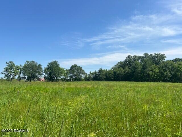 TBD Candle Glow Dr, New Iberia, LA 70563 - photo 3