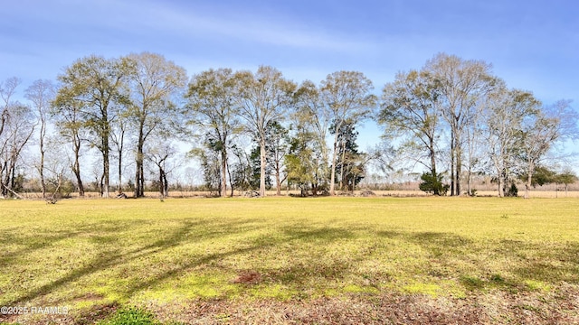 TBD Stelly Rd, Washington LA, 70589 land for sale