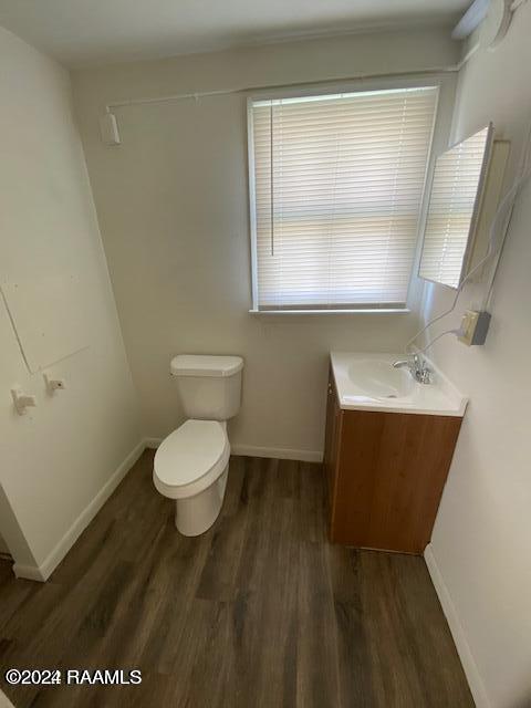 bathroom featuring vanity, hardwood / wood-style floors, and toilet