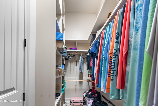 view of spacious closet