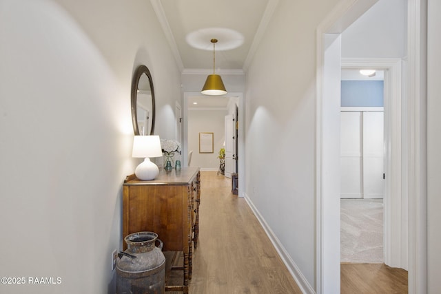 hallway featuring crown molding and light hardwood / wood-style flooring