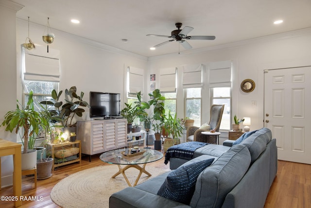 living room featuring ornamental molding, plenty of natural light, hardwood / wood-style floors, and ceiling fan