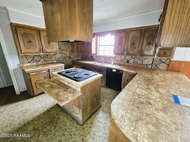 kitchen featuring sink, ventilation hood, black appliances, and a textured ceiling