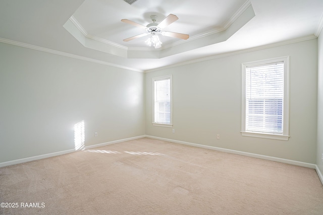 spare room featuring plenty of natural light, ornamental molding, and a raised ceiling