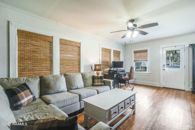 living room featuring crown molding, ceiling fan, and hardwood / wood-style floors