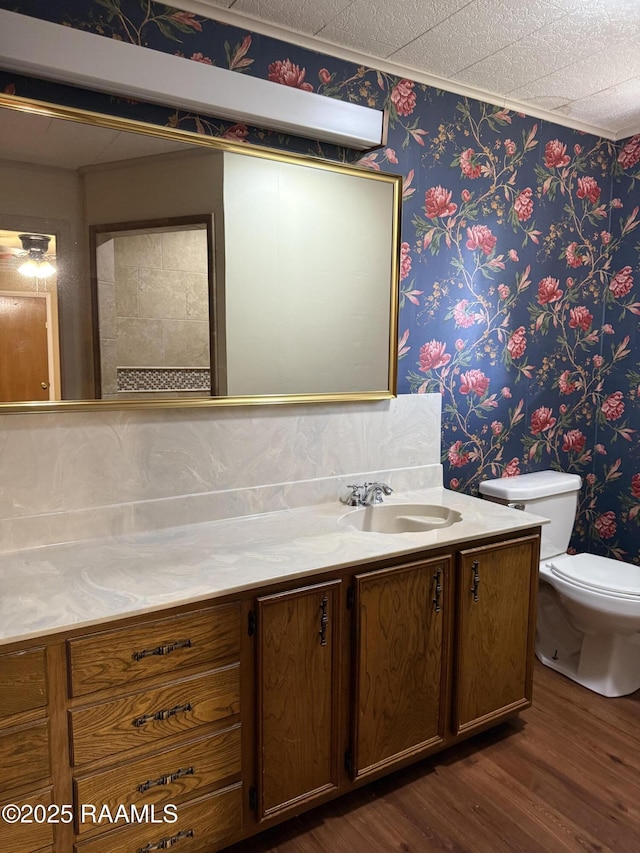 bathroom featuring vanity, wood-type flooring, and toilet