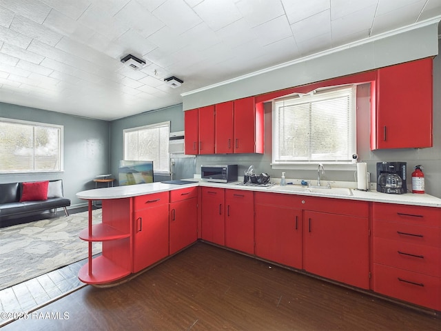 kitchen featuring sink and dark hardwood / wood-style flooring