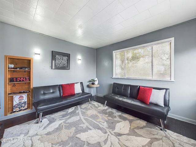 living room with wood-type flooring