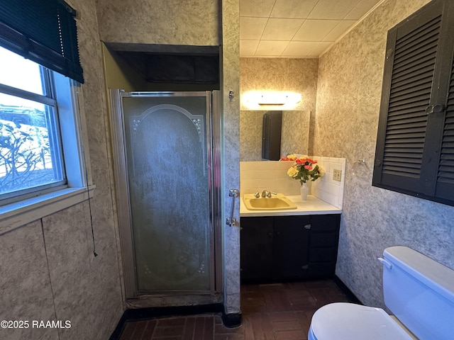 bathroom with vanity, an enclosed shower, and toilet