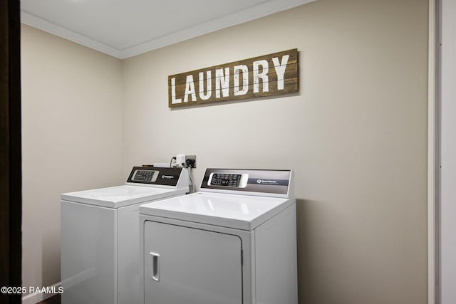 clothes washing area with crown molding and separate washer and dryer