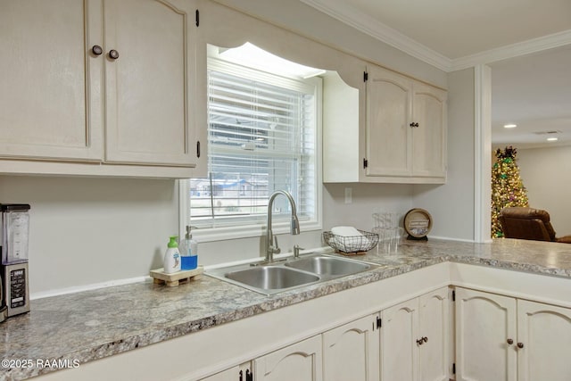 kitchen featuring crown molding and sink