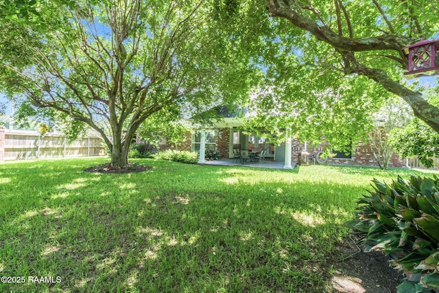 view of yard featuring a patio area