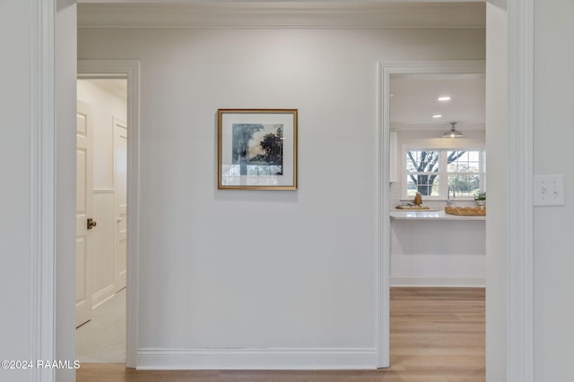 hallway featuring ornamental molding and light hardwood / wood-style flooring