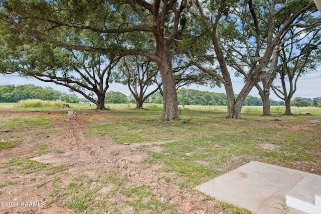 view of yard with a rural view