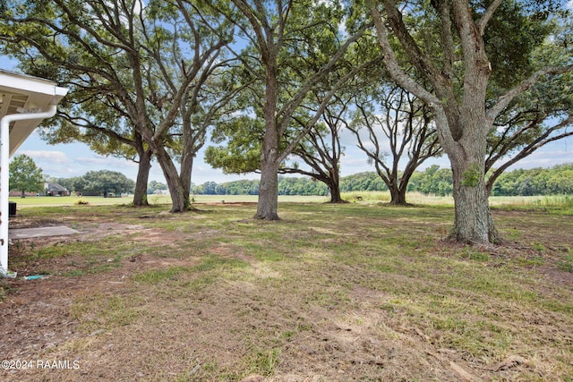 view of yard with a rural view