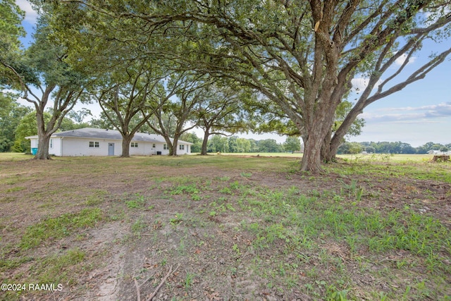 view of yard with a rural view