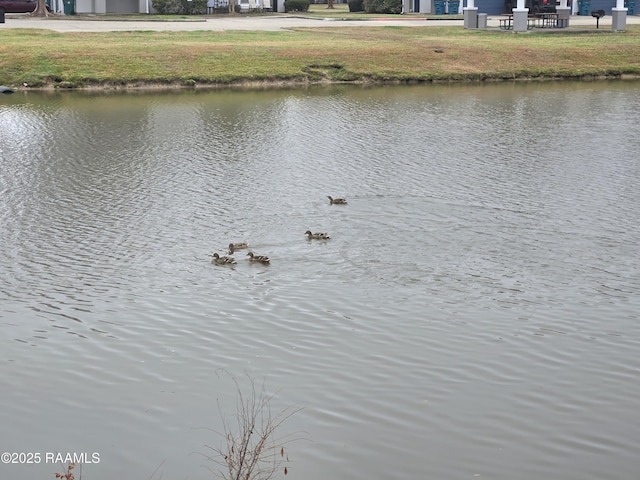 property view of water