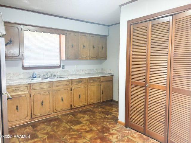 kitchen featuring crown molding and sink