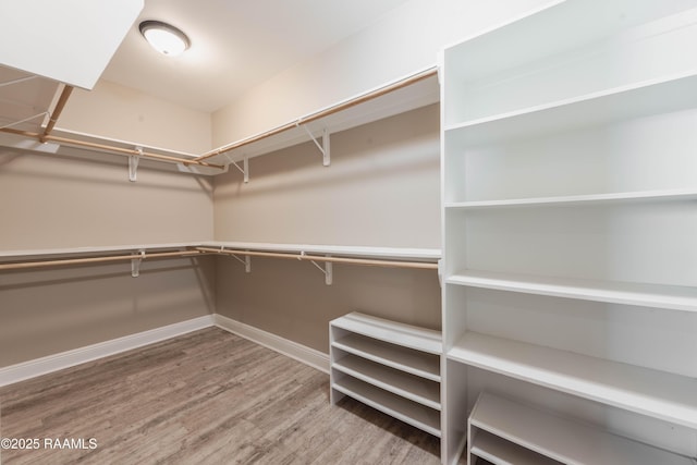 spacious closet with wood-type flooring