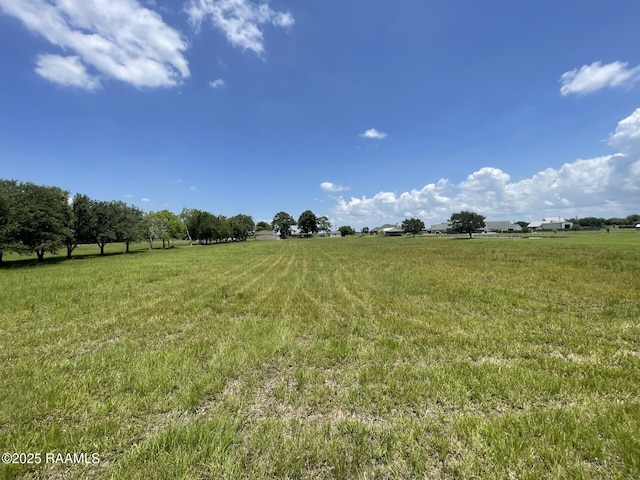 7515 W Congress St, Duson, LA 70529 - view of green lawn with a rural view