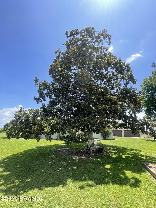 7515 W Congress St, Duson, LA 70529 - view of grassy yard