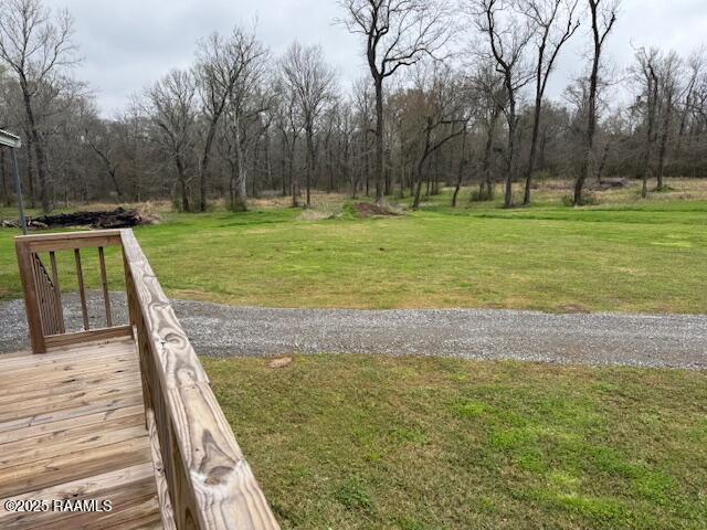 609 Longwood Dr, Opelousas, LA 70570 - view of green lawn