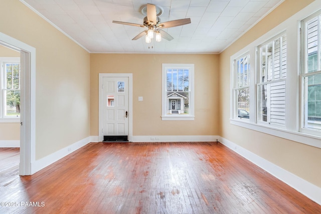 foyer entrance with crown molding, wood-type flooring, and ceiling fan