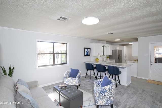 living room featuring sink, light hardwood / wood-style floors, and a textured ceiling