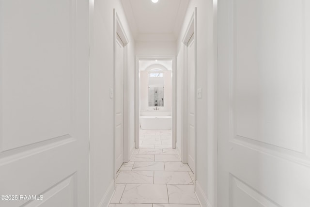 corridor featuring crown molding