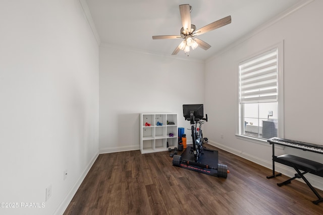 exercise area with crown molding, ceiling fan, and dark hardwood / wood-style flooring