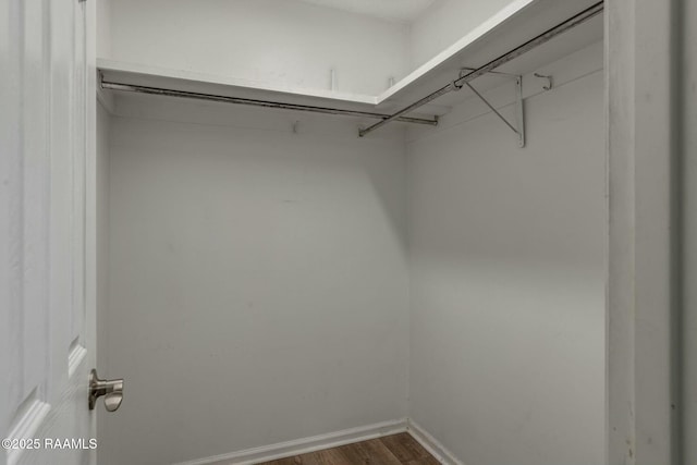 spacious closet with dark wood-type flooring