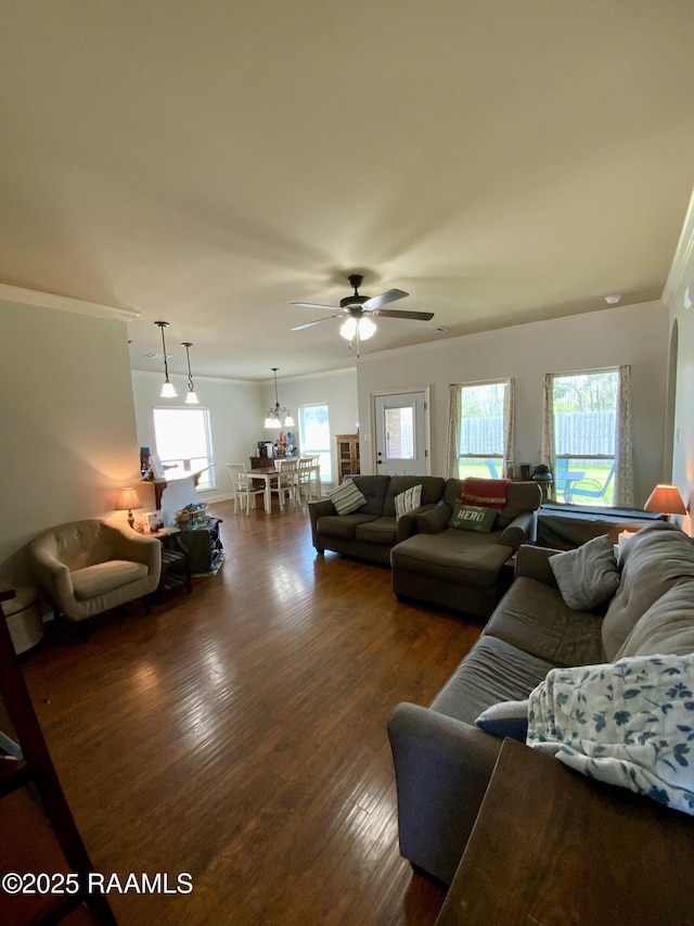 living room with dark hardwood / wood-style flooring, crown molding, and a healthy amount of sunlight