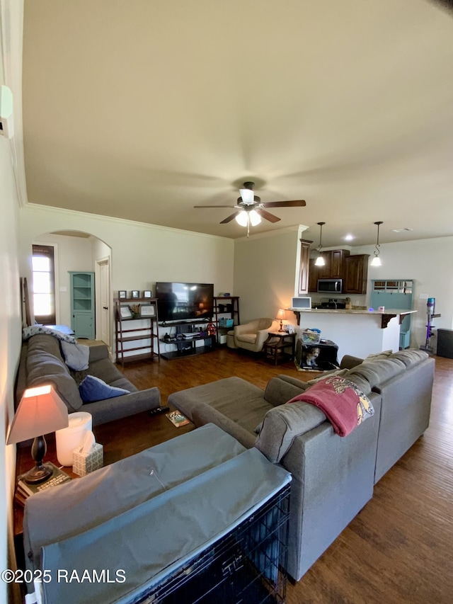 living room featuring dark hardwood / wood-style flooring and ceiling fan