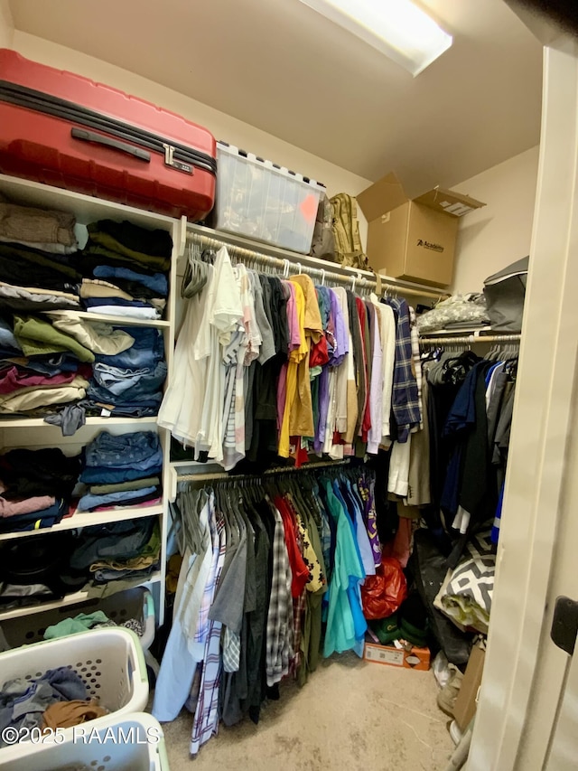 view of spacious closet