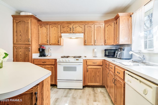 kitchen with ornamental molding, sink, white appliances, and light hardwood / wood-style flooring