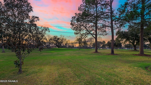 view of yard at dusk