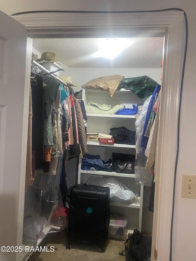 204 Mechanic St, Franklin, LA 70538 - walk in closet featuring carpet flooring