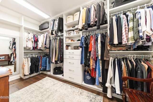 walk in closet featuring dark wood-type flooring