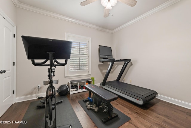 exercise area featuring ceiling fan, ornamental molding, and dark hardwood / wood-style flooring