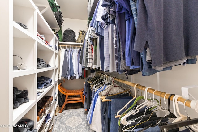 view of spacious closet