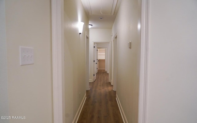 hallway with dark hardwood / wood-style floors