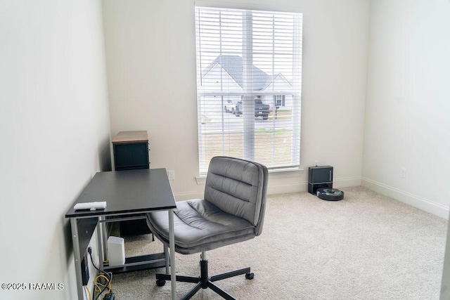 office featuring carpet