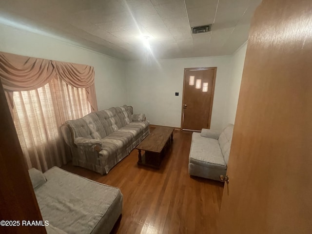 living room featuring wood-type flooring