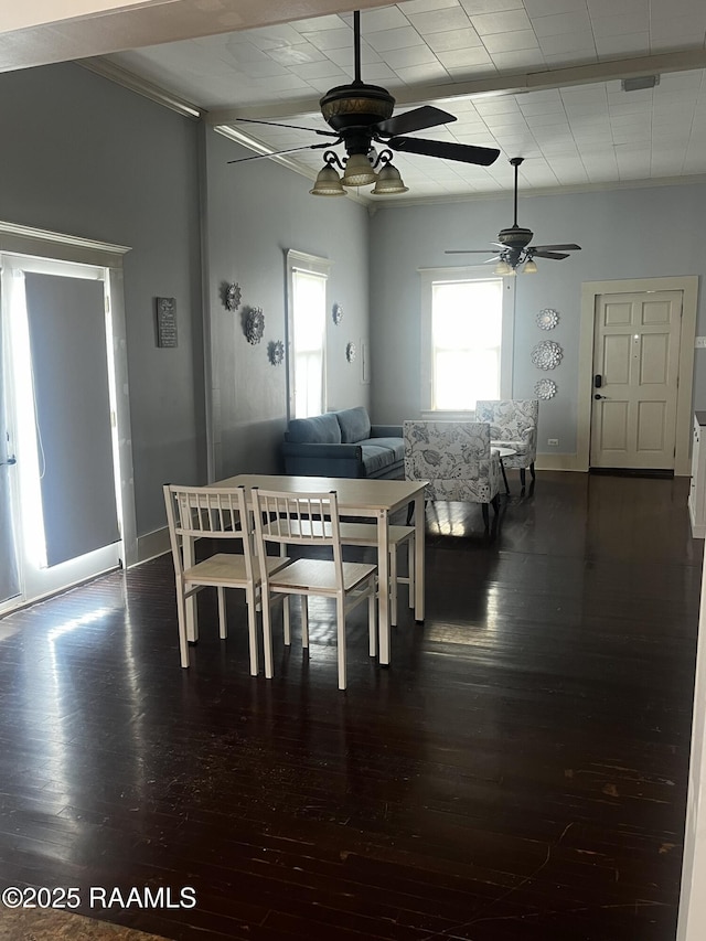 dining area featuring dark hardwood / wood-style flooring, crown molding, and ceiling fan