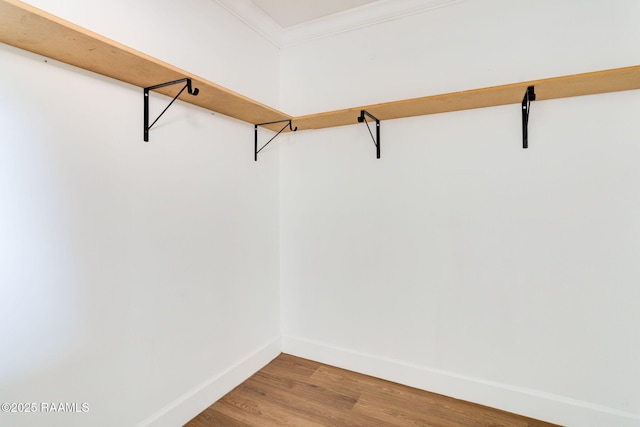 spacious closet featuring wood-type flooring