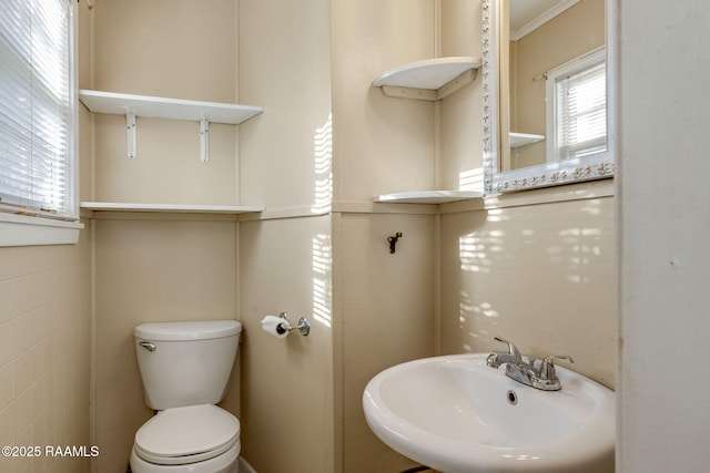 316 Kim Dr, Lafayette, LA 70503 - bathroom with a sink and toilet