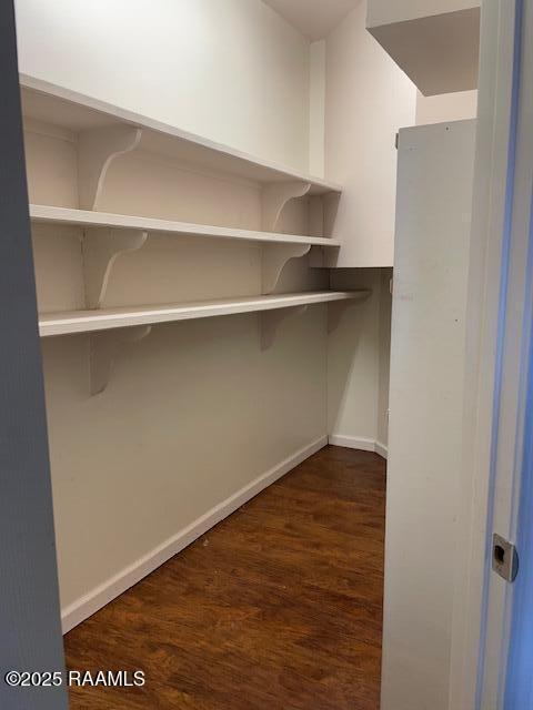 spacious closet with dark wood-type flooring