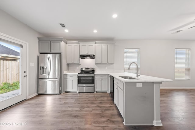 kitchen featuring appliances with stainless steel finishes, sink, gray cabinetry, and dark hardwood / wood-style flooring